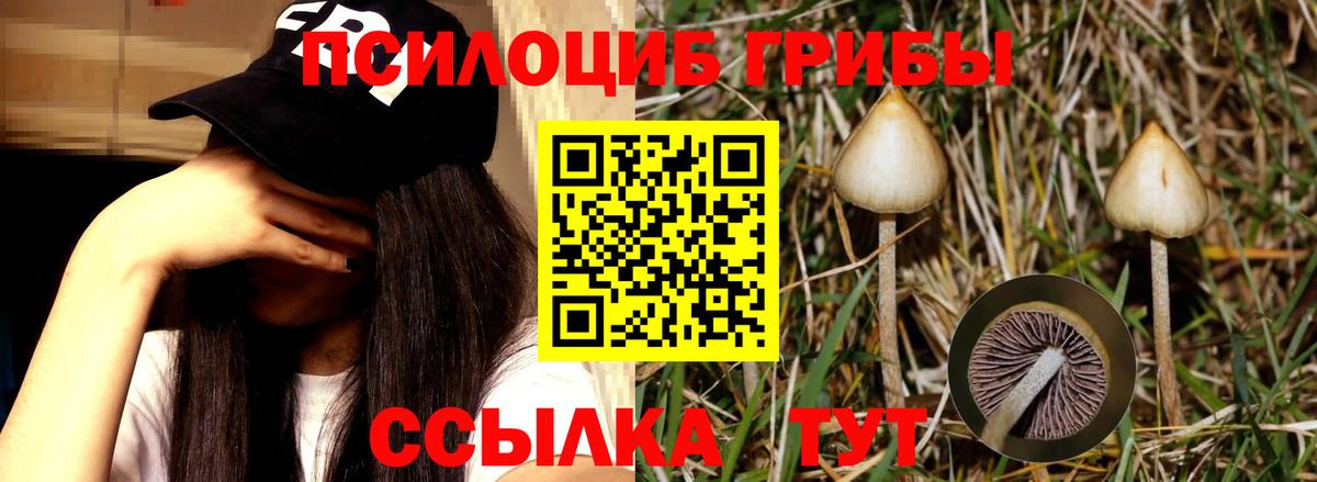 Обь  Галлюциногенные грибы ЛСД  Вход с VPN  Псилоцибиновые грибы ЛСД 