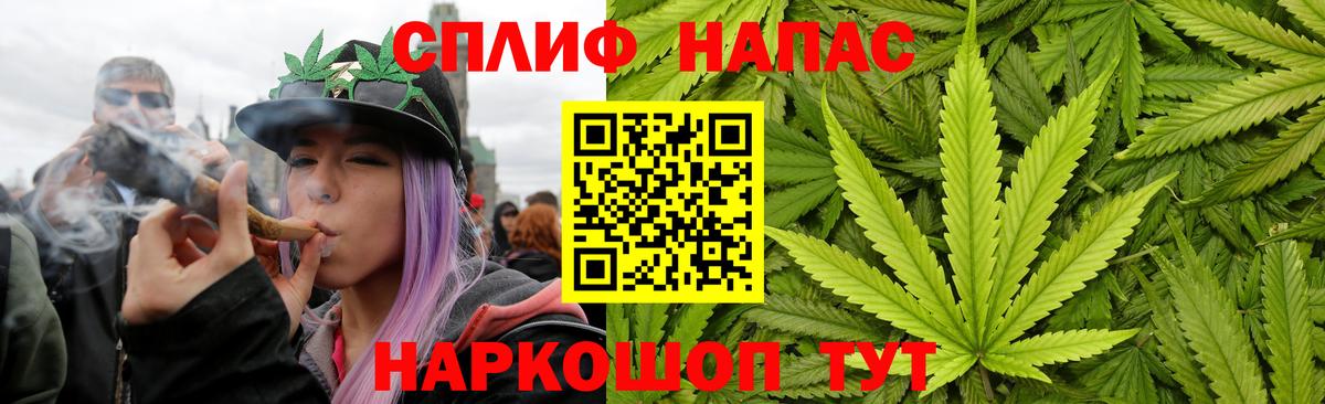 Канабис Bruce Banner Обь